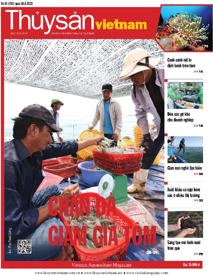 Tạp chí Thuỷ Sản Việt Nam