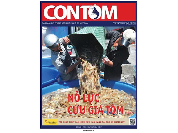 Bảng giá quảng cáo Tạp chí Con Tôm